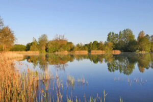 Blick über den Süsel Seeparx See und das gegenüberliegende im Frühling mit grün austreibenden Bäumen im Sonnenlicht vo am blauen Himmel